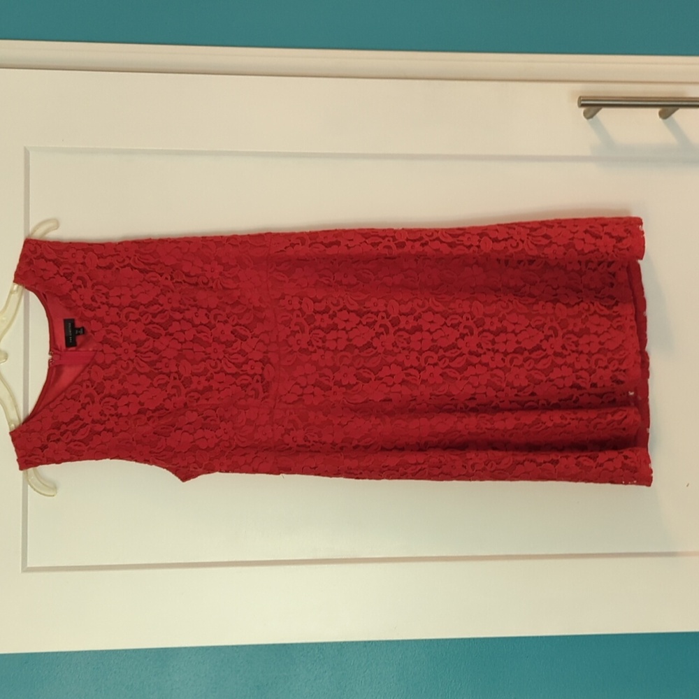 Limited Tall Lace Dress